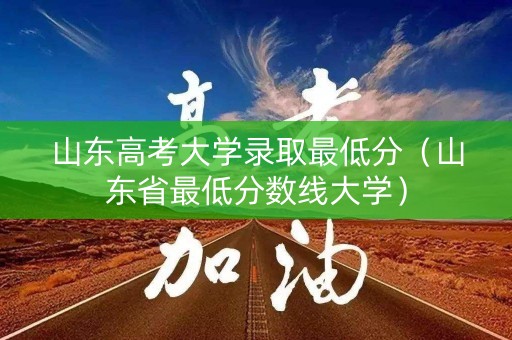 山东高考大学录取最低分（山东省最低分数线大学）
