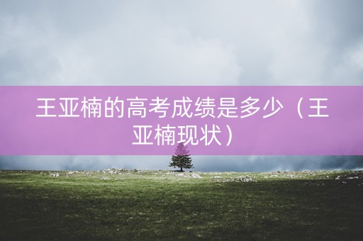 王亚楠的高考成绩是多少（王亚楠现状）