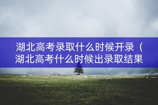 湖北高考录取什么时候开录（湖北高考什么时候出录取结果）