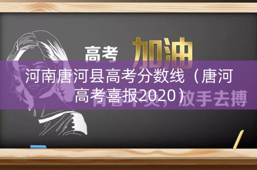 河南唐河县高考分数线（唐河高考喜报2020）