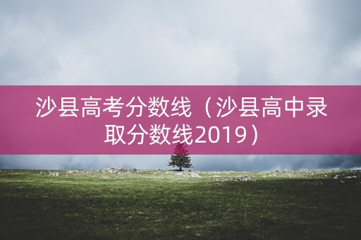 沙县高考分数线（沙县高中录取分数线2019）