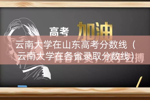 云南大学在山东高考分数线（云南大学在各省录取分数线）