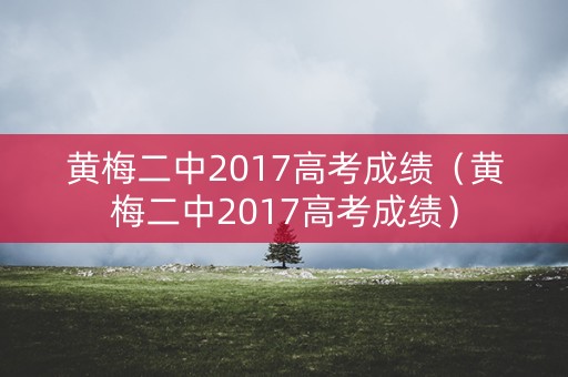 黄梅二中2017高考成绩(黄梅二中2017高考成绩) 黄梅二中2017高考成绩(黄梅二中2017高考成绩)