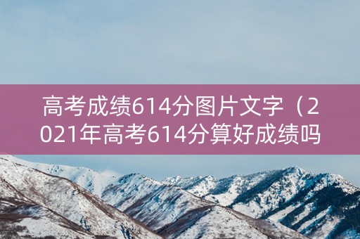 高考成绩614分图片文字（2021年高考614分算好成绩吗）