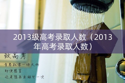 2013级高考录取人数(2013年高考录取人数) 2013级高考录取人数(2013年高考录取人数)