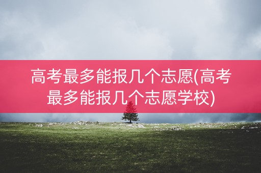 高考最多能报几个志愿(高考最多能报几个志愿学校)