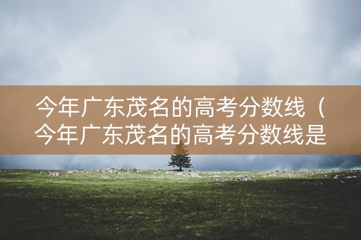 今年广东茂名的高考分数线（今年广东茂名的高考分数线是多少）