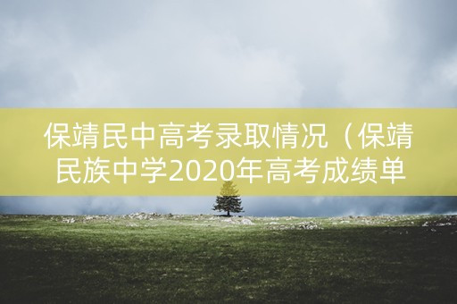 保靖民中高考录取情况（保靖民族中学2020年高考成绩单）