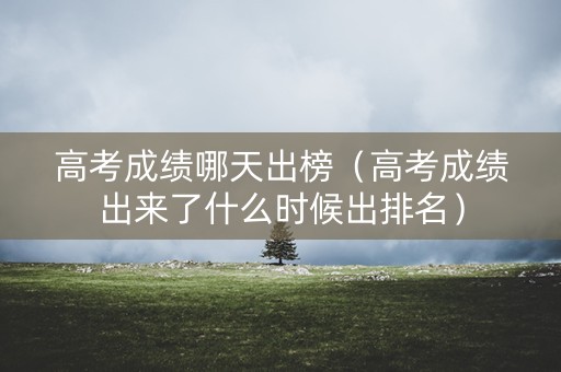 高考成绩哪天出榜（高考成绩出来了什么时候出排名）