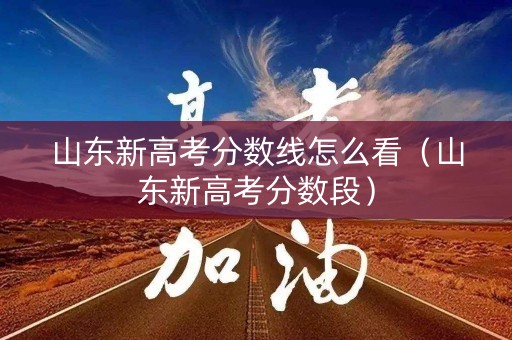 山东新高考分数线怎么看(山东新高考分数段) 山东新高考分数线怎么看(山东新高考分数段)