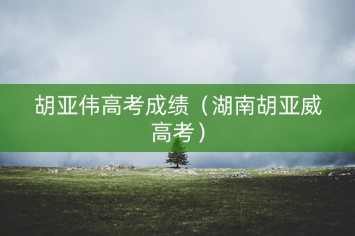 胡亚伟高考成绩（湖南胡亚威高考）