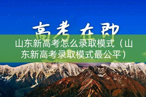 山东新高考怎么录取模式（山东新高考录取模式最公平）
