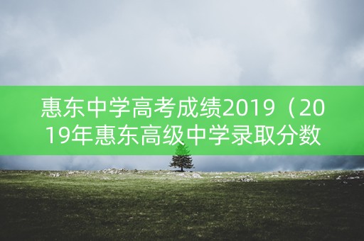惠东中学高考成绩2019（2019年惠东高级中学录取分数）