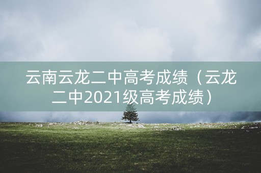 云南云龙二中高考成绩（云龙二中2021级高考成绩）