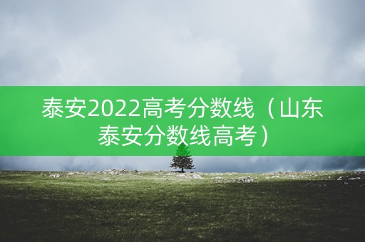 泰安2022高考分数线（山东泰安分数线高考）