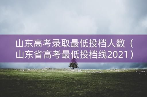 山东高考录取最低投档人数(山东省高考最低投档线2021) 山东高考录取最低投档人数(山东省高考最低投档线2021)