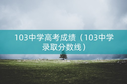 103中学高考成绩(103中学录取分数线) 103中学高考成绩(103中学录取分数线)