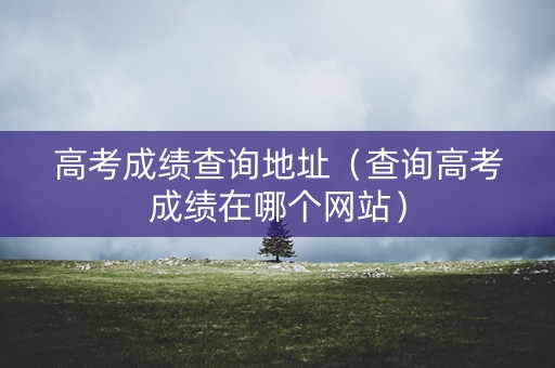 高考成绩查询地址(查询高考成绩在哪个网站) 高考成绩查询地址(查询高考成绩在哪个网站)