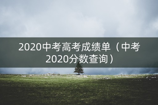 2020中考高考成绩单（中考2020分数查询）