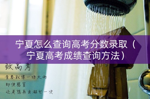 宁夏怎么查询高考分数录取（宁夏高考成绩查询方法）