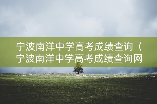 宁波南洋中学高考成绩查询（宁波南洋中学高考成绩查询网站）