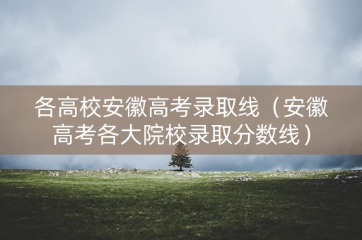 各高校安徽高考录取线（安徽高考各大院校录取分数线）