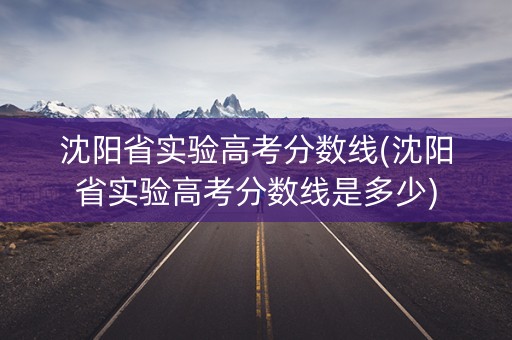 沈阳省实验高考分数线(沈阳省实验高考分数线是多少)