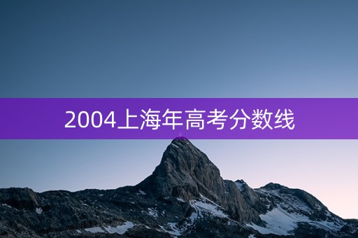 2004上海年高考分数线