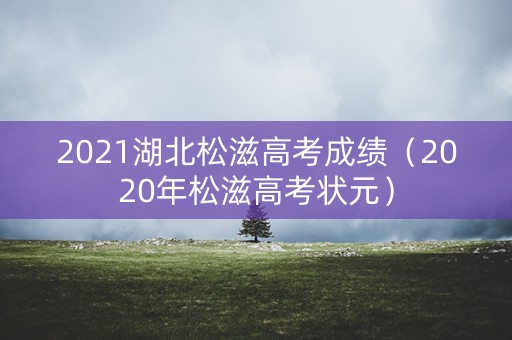 2021湖北松滋高考成绩（2020年松滋高考状元）