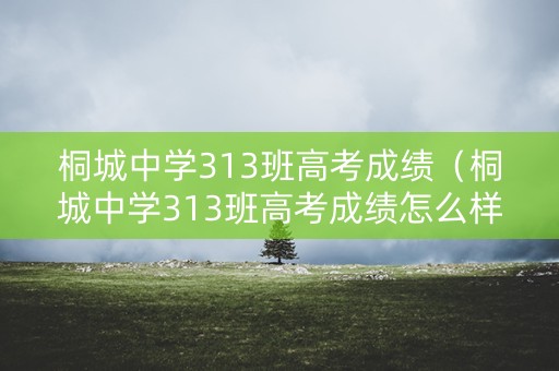 桐城中学313班高考成绩（桐城中学313班高考成绩怎么样）