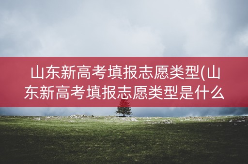 山东新高考填报志愿类型(山东新高考填报志愿类型是什么)