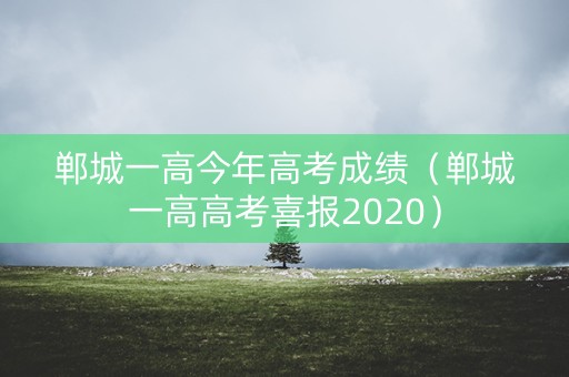 郸城一高今年高考成绩（郸城一高高考喜报2020）