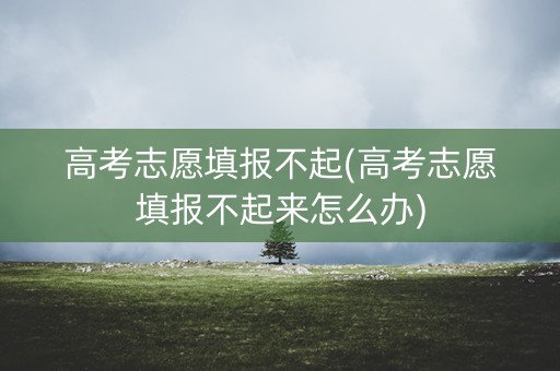 高考志愿填报不起(高考志愿填报不起来怎么办)