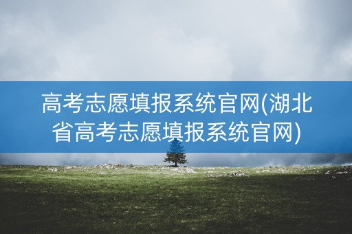 高考志愿填报系统官网(湖北省高考志愿填报系统官网)