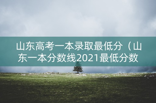 山东高考一本录取最低分（山东一本分数线2021最低分数多少理科）