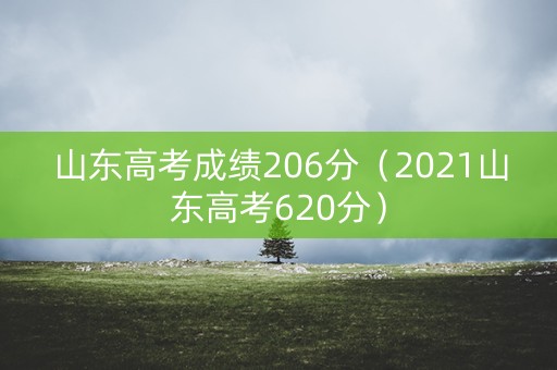 山东高考成绩206分（2021山东高考620分）