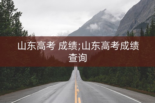 山东高考 成绩;山东高考成绩查询