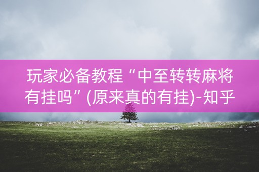 玩家必备教程“中至转转麻将有挂吗”(原来真的有挂)-知乎