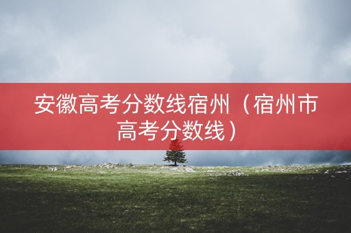 安徽高考分数线宿州（宿州市高考分数线）