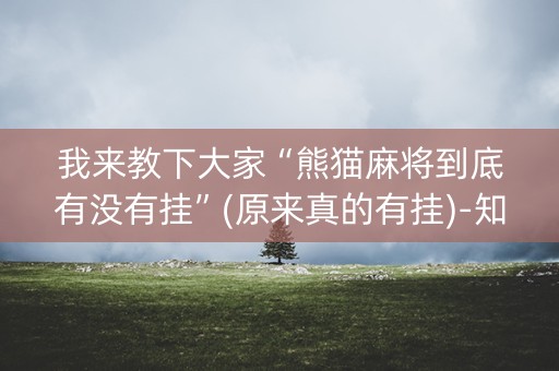 我来教下大家“熊猫麻将到底有没有挂”(原来真的有挂)-知乎