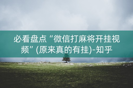 必看盘点“微信打麻将开挂视频”(原来真的有挂)-知乎