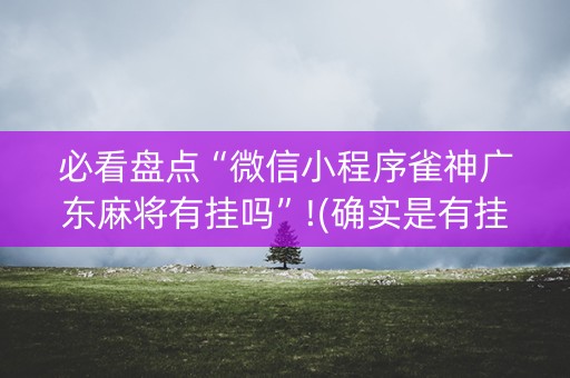 必看盘点“微信小程序雀神广东麻将有挂吗”!(确实是有挂)-知乎