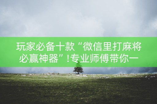 玩家必备十款“微信里打麻将必赢神器”!专业师傅带你一起了解（详细教程）-知乎
