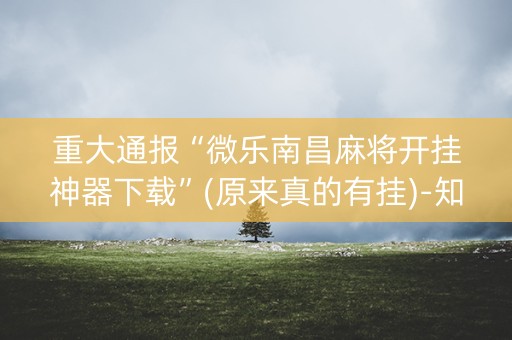 重大通报“微乐南昌麻将开挂神器下载”(原来真的有挂)-知乎