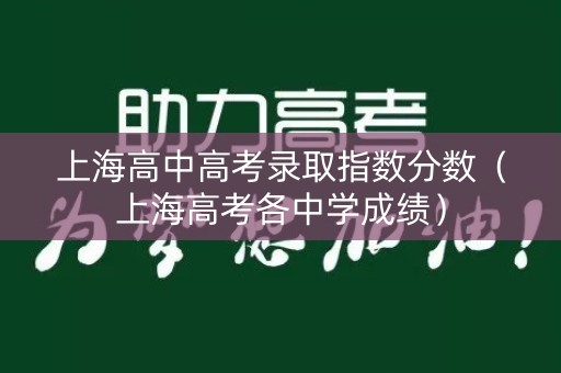 上海高中高考录取指数分数（上海高考各中学成绩）