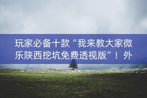 玩家必备十款“我来教大家微乐陕西挖坑免费透视版”！外卦神器下载安装（确实真的有挂)-知乎