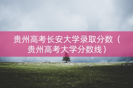 贵州高考长安大学录取分数（贵州高考大学分数线）