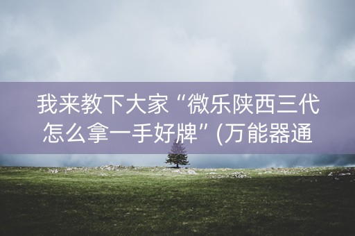 我来教下大家“微乐陕西三代怎么拿一手好牌”(万能器通用版)-知乎