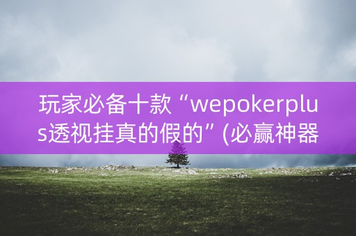 玩家必备十款“wepokerplus透视挂真的假的”(必赢神器软件)-知乎
