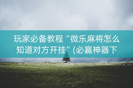 玩家必备教程“微乐麻将怎么知道对方开挂”(必赢神器下载)-知乎